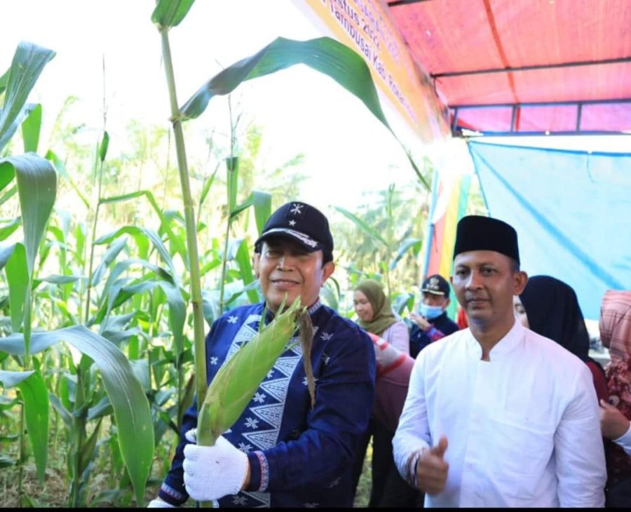 Bupati Rohul Apresiasi Pemdes Sialang Rindang Manfaatkan Lahan Kosong Untuk Pertanian