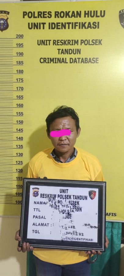 Diduga Maling Sapi Ditangkap Personil Polsek Tandun 