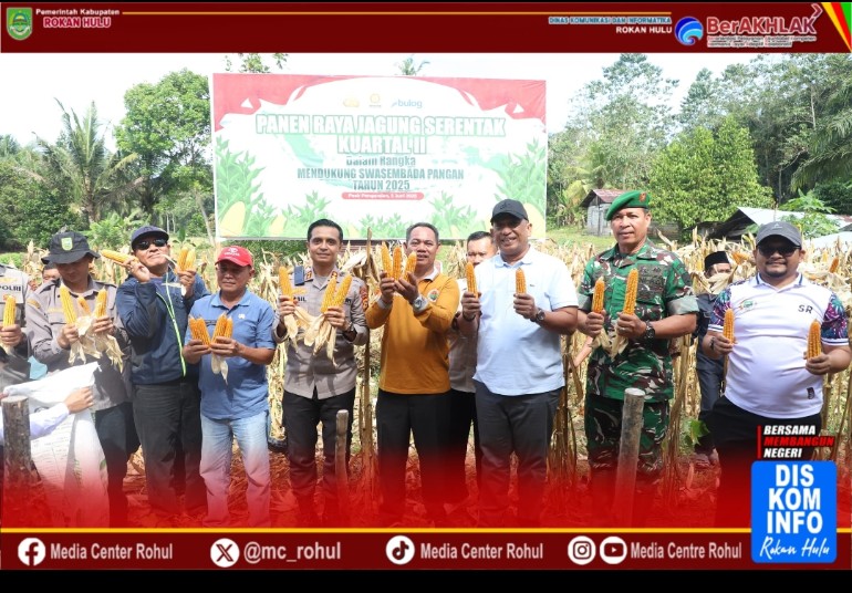 Dukung Swasembada Pangan, Bupati Rohul Anton, S.T, M.M Hadiri Panen Raya Jagung Kuartal II