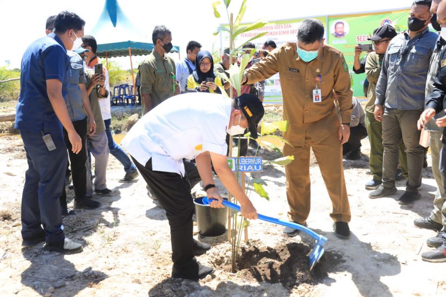Gubri dan Bupati Rohul Tanam Pohon Aren dan Taburkan Bibit Indukan Ikan Arwana