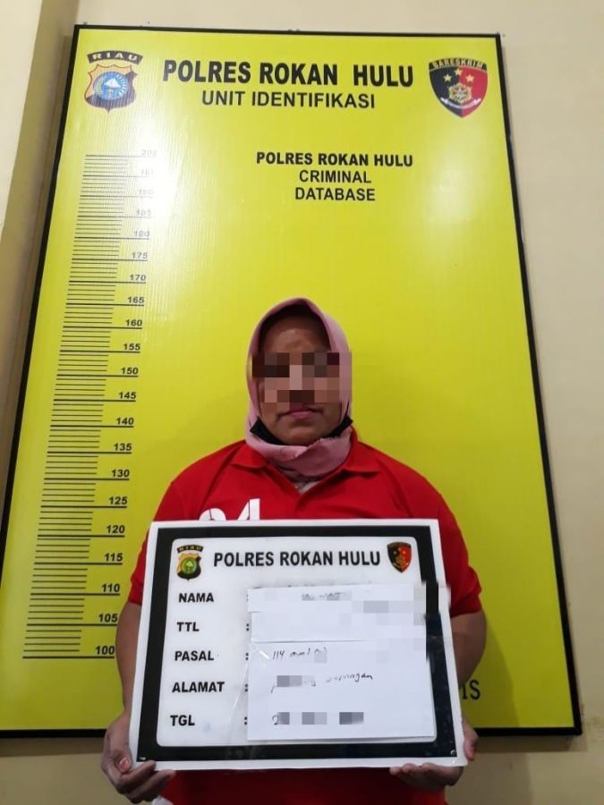 IRT Profesi Penjual Narkotika Diringkus Sat Narkoba Rohul