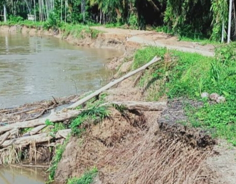 Jalan Rusak Parah, Masyarakat Rambah Hilir Timur Geram Dengan Pemkab
