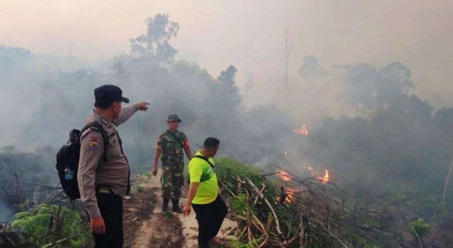 Karhutla Mulai Terjadi di Kabupaten Rokan Hulu