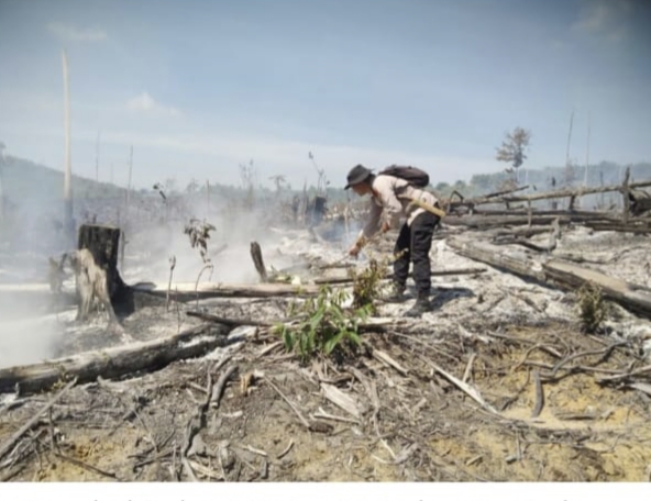 Kebakaran di Rokan IV Koto, Kapolsek Turun Kelokasi