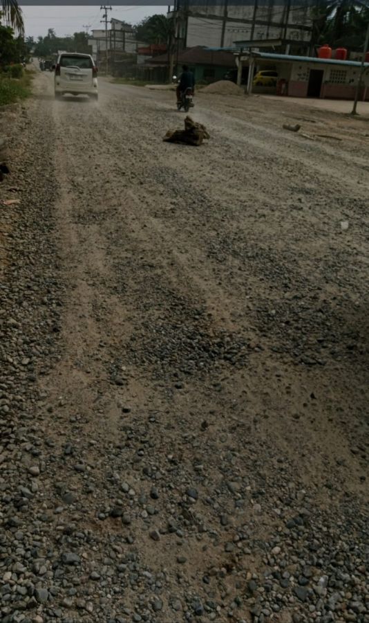 Masyarakat Desa Rambah, Keluhkan Debu Jalanan, Minta Gubri Perbaiki Ruas yang Rusak.