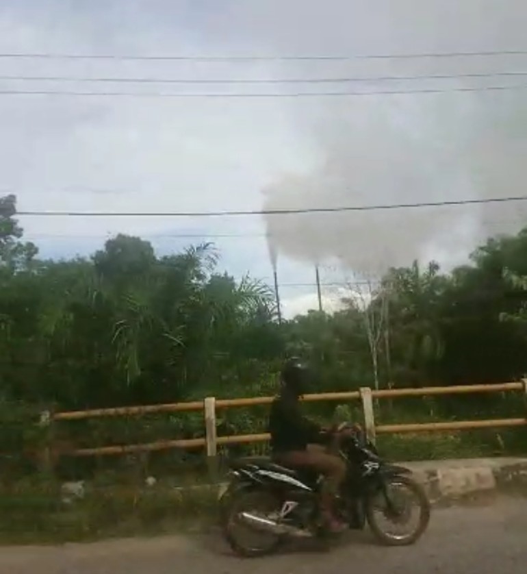 Polusi Udara dari Asap Pabrik Sawit Meresahkan Warga