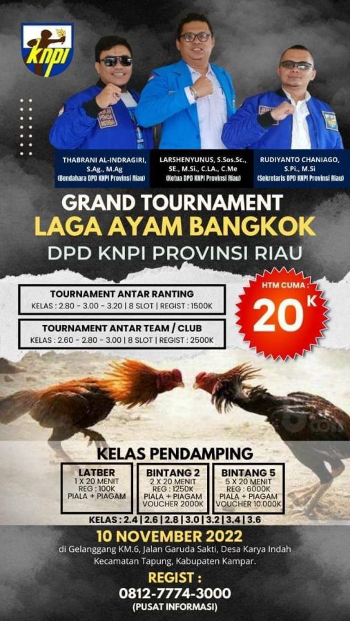 Riau Heboh Isu Laga Ayam Bangkok, Ketua KNPI: Perintah Bang Ketum, Segera Kami Batalkan!