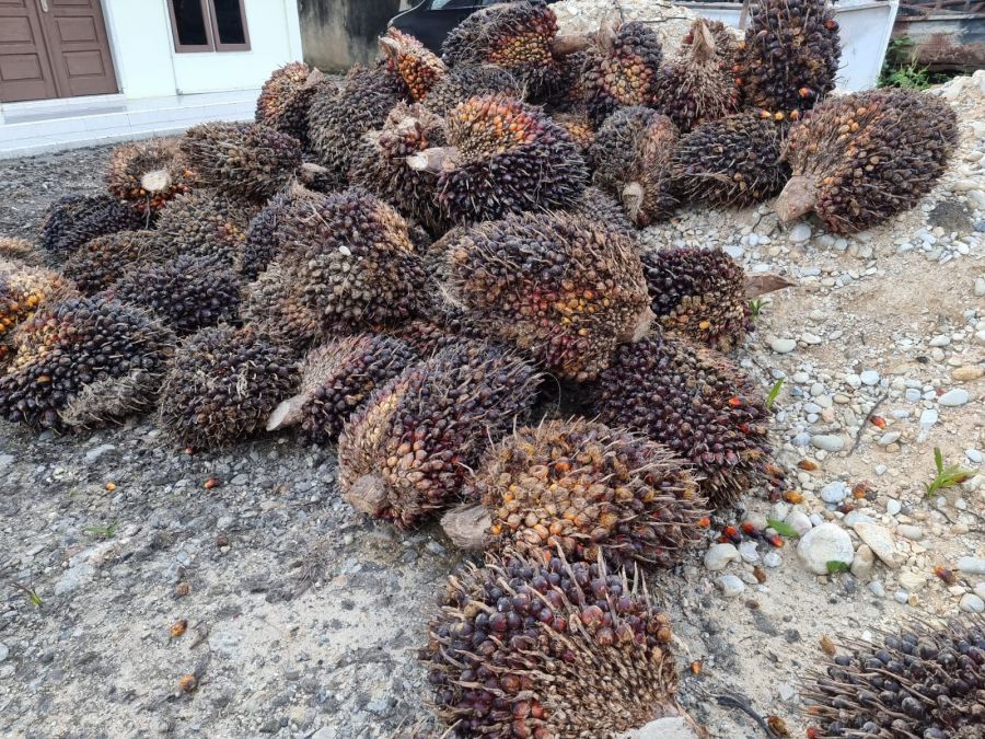 Seorang Warga Kampar Diamankan di Polsek Kuntodarussalam