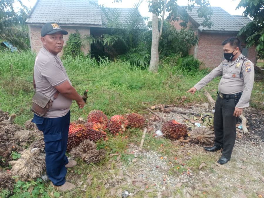 Sopir dan Kernet Berurusan Dengan Polsek Tandun