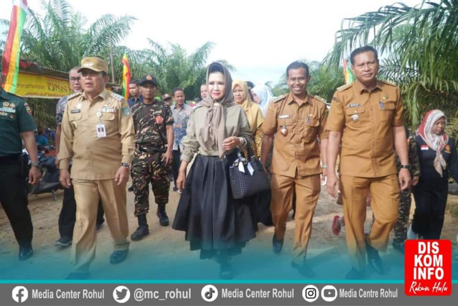 Sukiman Lakukan Panen Perdana Pada Kebun Plasma Di Desa Air Panas