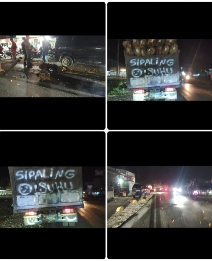 Vidio yang Viral, Mobil membawa Sawit Merasahkan Pengendaraan lain