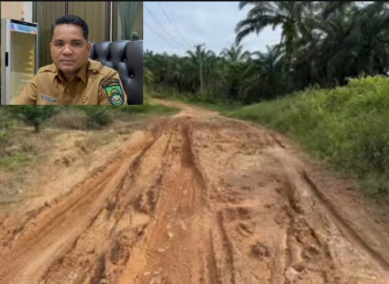 Zulfikri : Pastikan Perbaikan Jalan Sempurna Alam–Tanjung Betung