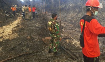 50 Hektar Lahan di Hutan Lindung Bukit Suligi Dilalap Si Jago Merah