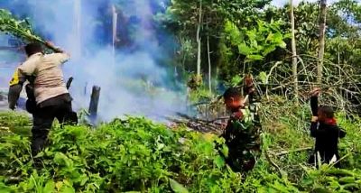 Karhutla Kembali Terjadi di Kabupaten Rokan Hulu Riau, Petugas Gabungan Temukan Jerigen