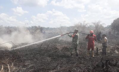 Petugas Gabungan Padamkan Kebakaran Lahan di Kabupaten Rokan Hulu, Riau